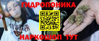 СК Краснодар