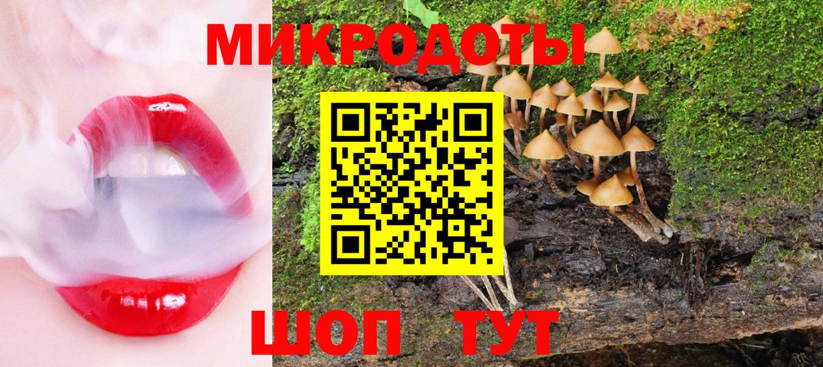 Псилоцибиновые грибы Psilocybe Кинель