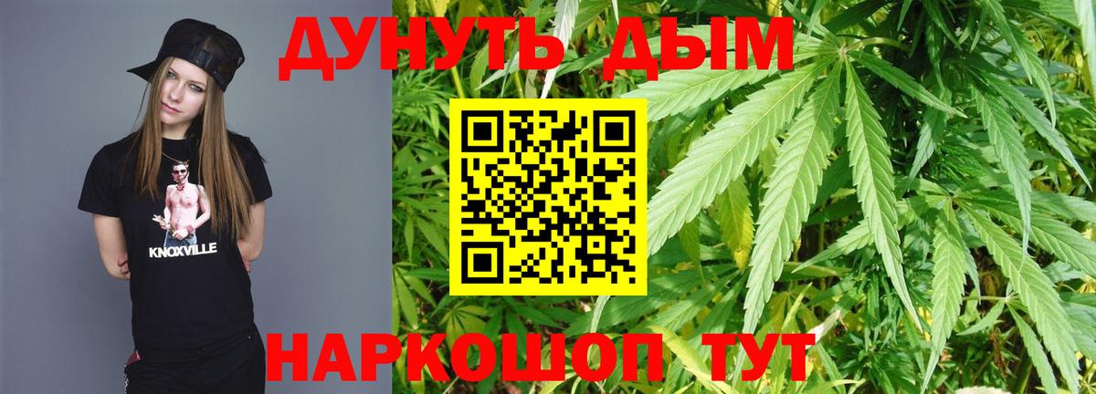Бошки Шишки конопля Кинель